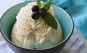 Clover Fresh Milk Instant Ice Cream | Clover Corporate
