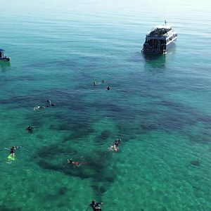 248 reactions · 45 shares | 錄 Get a closer look at Fraser Island’s undiscovered secrets  Paddle, swim, snorkel (we've packed all the gear)  Exclusive access to locations other guides can't go  All inclusive day trip We'll handle the details, just get yourself to Hervey Bay. Jump on board. | Tasman Venture Hervey Bay | Facebook