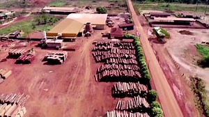 3.6K views · 85 reactions | Der brasilianische Präsident Lula hat der illegalen Abholzung im Amazonas-Regenwald den Kampf angesagt. Das hatte er bereits im Wahlkampf versprochen. Nun hat er einen ambitionierten Aktionsplan vorgestellt. Bis 2030 will er die illegale Rodung auf Null herunterfahren. | newstime | Facebook