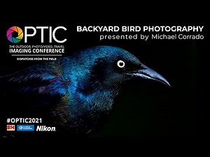 Backyard Bird Photography, from Camera Settings to Gear | OPTIC 2021