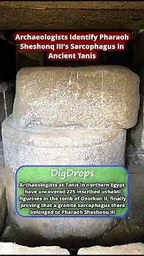 Pharaoh Sheshonq III’s Sarcophagus in Ancient Tanis FOUND!