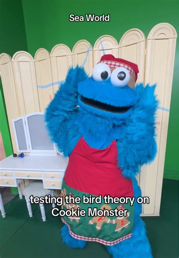 Testing the Bird Theory with Cookie Monster at SeaWorld
