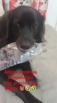 Amora precisa se converter 🙏🤣👹