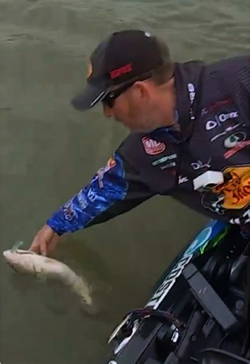 Watch those hooks or you’ll end up with a….. too late, it’s a hot mess! @Ott DeFoe managed to avoid a penalty by hooking his pants here when boating this 3-pound, 9-ounce bass early in Period 1 on Day 2 on Hartwell. No emergency room trip needed. 🚑🚨@O'Reilly Auto Parts @VisitOconeeSC #bassfishing #hotmess #catchandrelease #fishtok #wow
