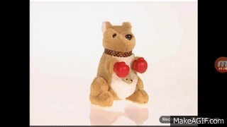 BABY NOAH BOXING KANGAROO on Make a GIF