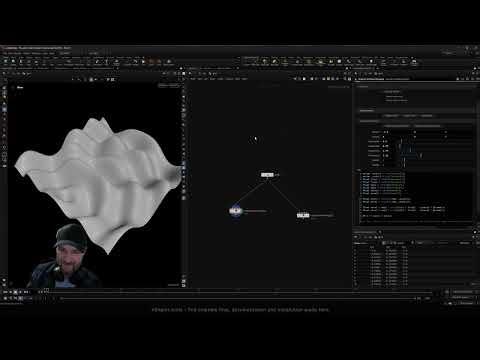 Introduction to VEXpert in Houdini