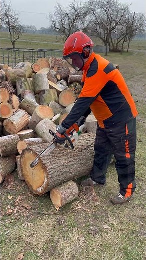 Kette stumpf? Beim Brennholz sägen mit der Kettensäge