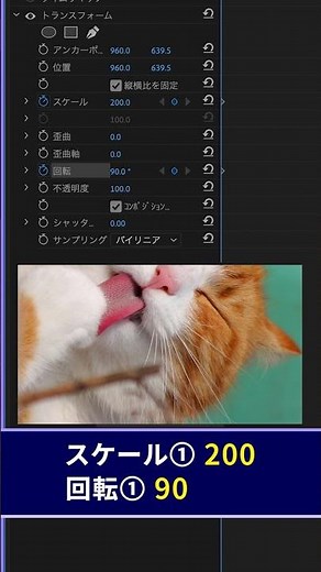 画像を回転しながら出す編集方法【Premiere Pro/プレミアプロ チュートリアル】