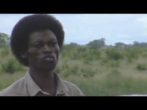 Thomas Chauke - Ndzi N'wana Mani? (Music Video) | m-HD
