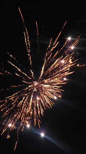 NYE willow with glitter shell #fireworks #pyros #pyronation #pyroaddicts #fireworks #firwork