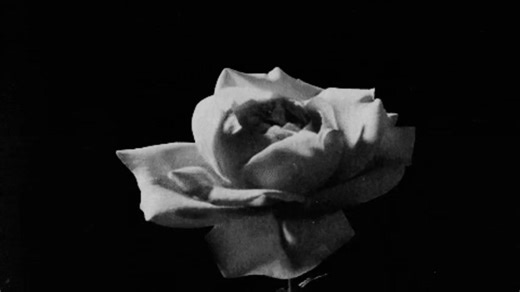 the exact vibe this song gives off #cas #music #explore #giftok #gif