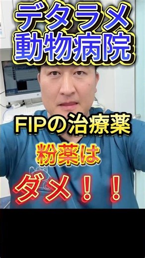 FIP治療薬は粉薬NG！苦い・溶けない・ロスが大きい #猫 #FIP治療 #Shorts #モルヌピラビル #猫伝染性腹膜炎 #令和の虎 #fip治療