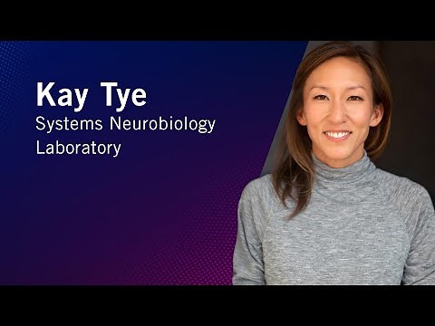 From Then to When | Meet Salk Scientists | Kay Tye
