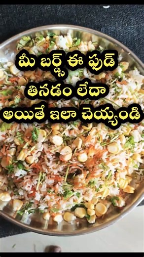 Best Protein diet for Birds That make your bird healthy