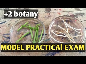 +2 botany | model practical exam | sameerapp