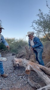 Un tronco para bramadero 🪵🐮🤠🏜️ | Wild Wood Art