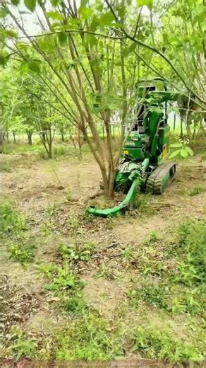 The "Strongman" in the Forest! This Machine Easily Digs Up an Entire Tree, So Amazing!