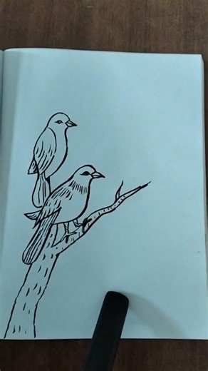How to draw a simple Bird and tree branches 🌄🙏