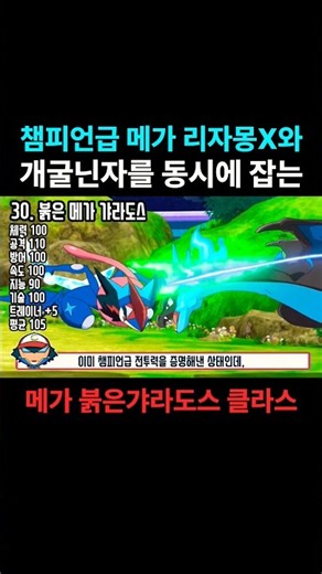 시리즈 최강 챔피언 둘을 동시에 잡는 붉은 갸라도스 클라스