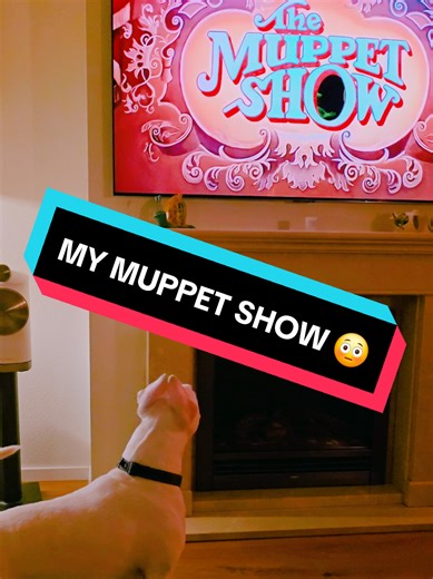 Barry's Thoughts on the 2026 Muppet Show