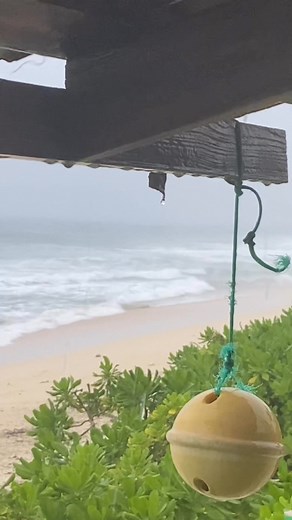 As the night went on we were beginning to wonder if Hurricane Melissa was going to turn from it western path and it’s approach to us. It has started to move north this morning. We are getting brushed by her. Wind and rain, wishing Jamaica a speedy recovery. We are so fortunate. | TROPICAL RUNaWAY, Cayman Brac