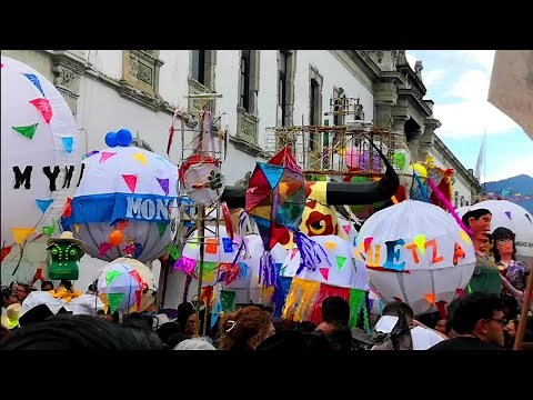 GRAN DESFILE DE MONOS DE CALENDA Y MARMOTAS // OAXACA