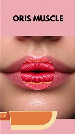 What’s REALLY Inside Your Lips? 👄