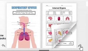 Science Worksheets for Kids: 30-page STEM Activities (PDF Download) - Etsy UK
