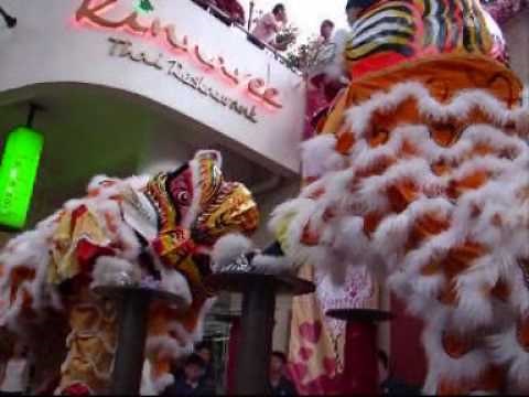 Chinese New Year Tiger Dance 舞虎