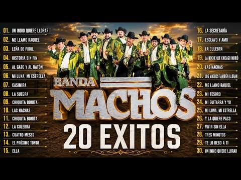 Banda Machos 🔥 Lo Mejor de Sus Grandes Éxitos - Música Para Recordar y Enamorarse 2026