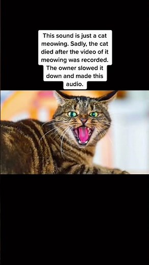 Scary things you didn’t know…