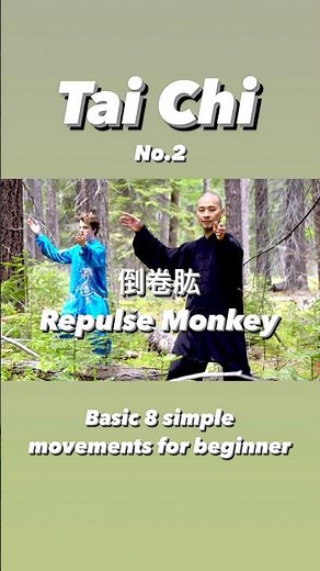 Basic 8 form Tai Chi-No.2 Repulse Monkey倒卷肱 #taichi #kungfu #taiji #taijiquan #太极拳 #武术