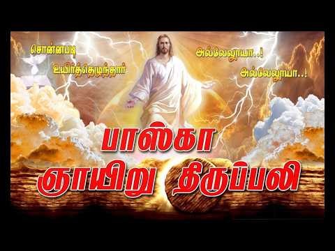 🅻🅸🆅🅴 - 05-04-2026 | Easter Sunday Mass | பாஸ்கா ஞாயிறு | St. Andrew's Church, Puducherry | Mercy TV