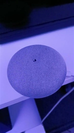 Google Home Mini's Opinion on Alexa and Siri #Shorts