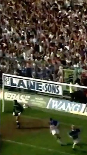 Iconic Limbs. 📽️