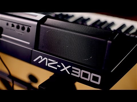 Casio MZ-X300 and MZ-X500 Arranger Keyboard Demo