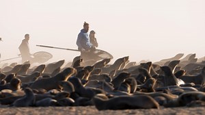 12 reactions | Together, with local communities, NGOs, government...