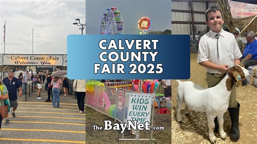 Preview The Calvert County Fair: Exhibits, Food, Rides And More [VIDEO] - The BayNet