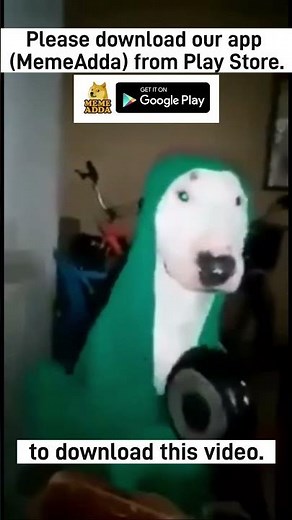 Ninni tem dog meme template