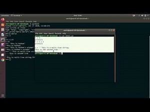 Mind Luster - Learn Basic Python Programming Syntax