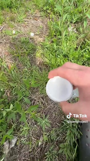 NO ANTS WERE HARMED! #stopanthate #science #mentalhealth #fyp #savetiktok #fyp #danawhite