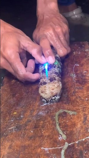 Amazing Sea Cucumber Cleaning & Preparation | Satisfying Seafood Cutting