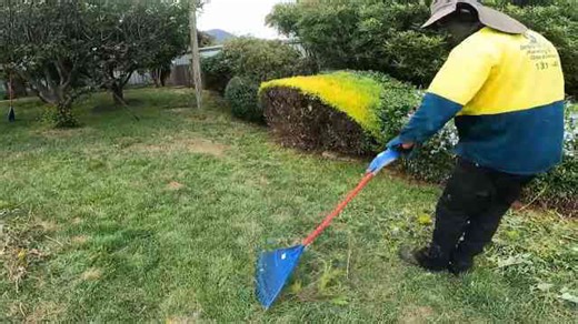 Part 2: Huge Neglected Garden Renovated for New Tenants