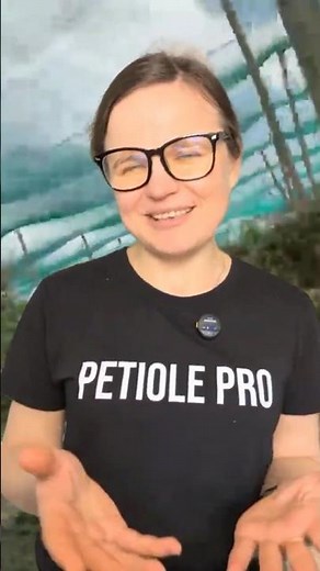 choose your YOLO #visualai