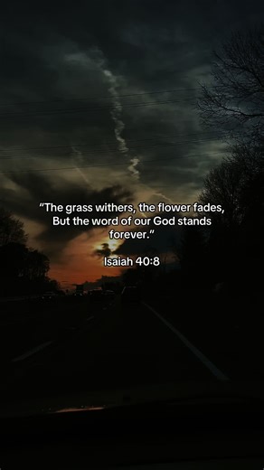 Isaiah 40:8 NIV “The grass withers and the flowers fall, but the word of our God endures forever.” #bible #bibleverse #bibleversedaily #bibleversedaily #verseoftheday