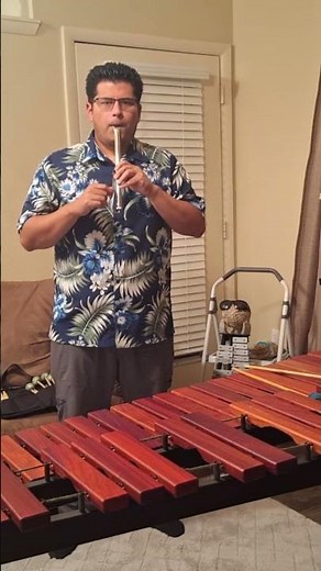 How To Play Slide Whistle: It Goes Up And It Goes Down