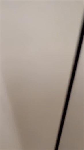 Shama Sikander on Instagram: "And that’s how we entered #2026 !!🥳🥳🥳 #friends #love #fun #dance"