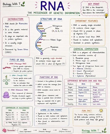 🧬 RNA Explained | The Messenger of Genetic Information #biology #rna #neet #science #viral