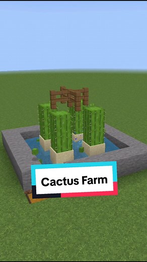 Cactus Farm: A Creative Minecraft Building Guide