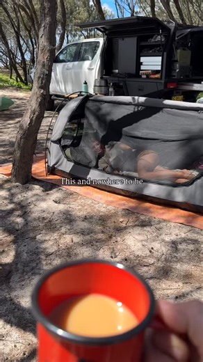 Can’t beat an Aussie summer with a Dog & Gun ☕️ | Dog & Gun Coffee